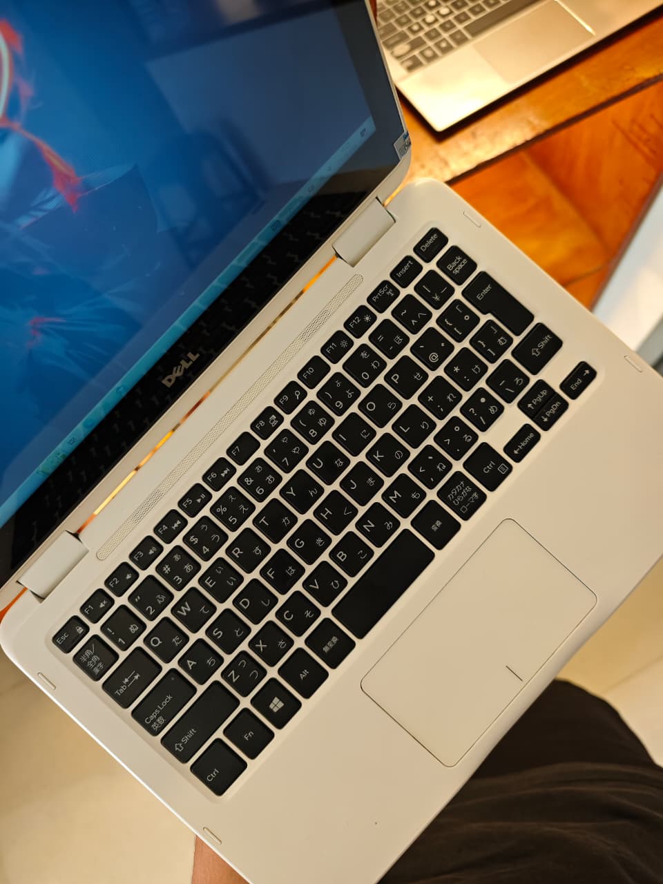 DELL INSPIRON P25T FLIP (TS)